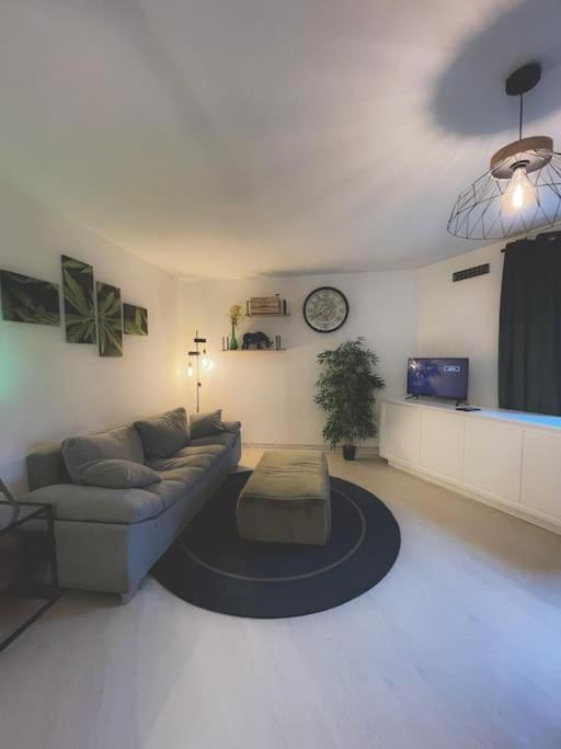 Appartement Cosy A آنسي المظهر الخارجي الصورة